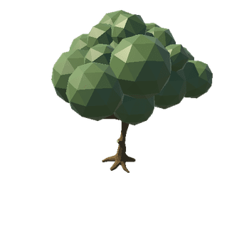 tree b 1